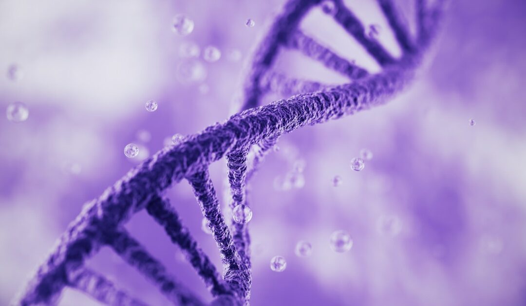 Epigenetic Potential of Vesilute
