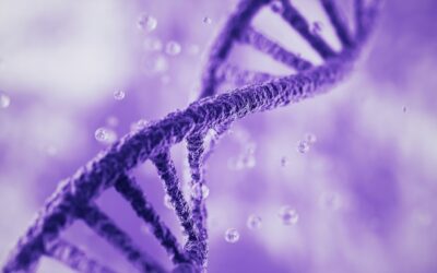 Epigenetic Potential of Vesilute