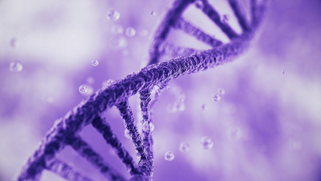 Epigenetic Potential of Vesilute