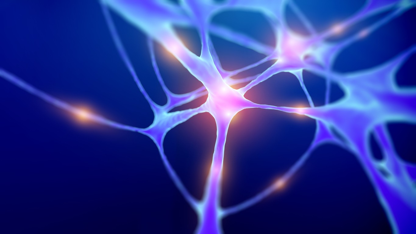 Interactions Between PE-22-28 and Nerve Cells