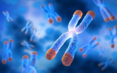 KED Potential Actions in Different Models of Cellular Aging