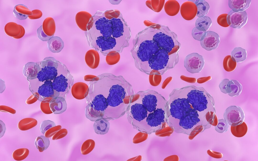Pal-AHK Interactions with Follicular Cells Growth and Apoptosis