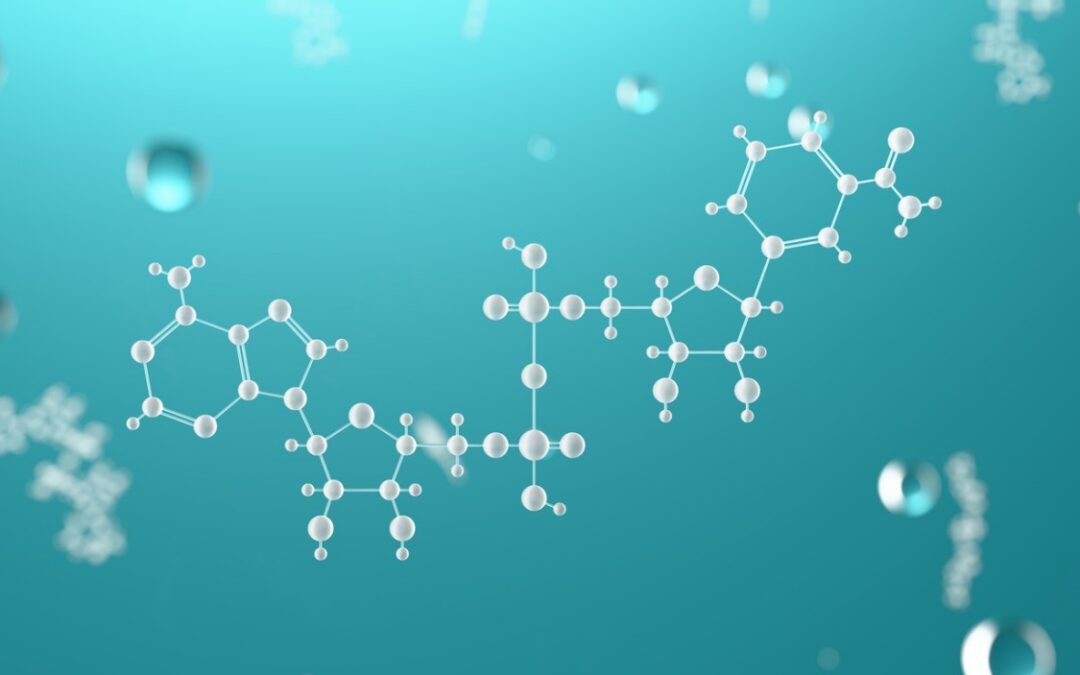 T-31 Peptide Interactions with Cellular Aging, Renewal, and Stress Pathways
