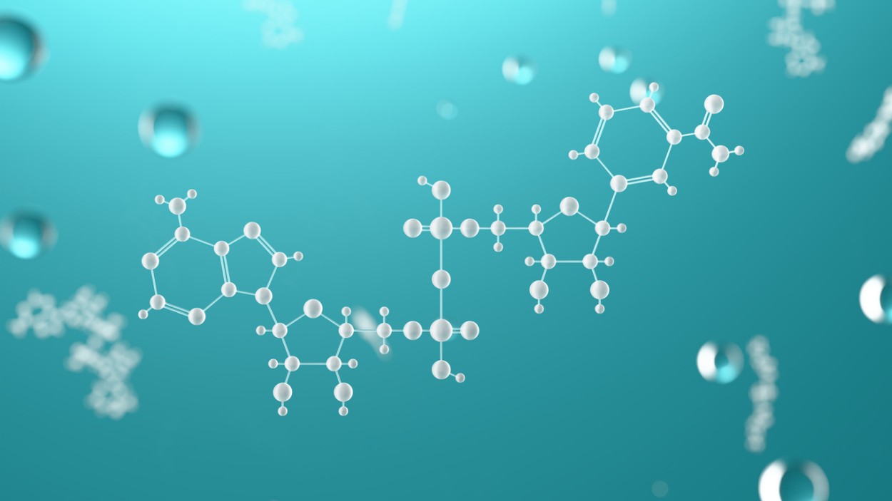 T-31 Peptide Interactions with Cellular Aging, Renewal, and Stress Pathways