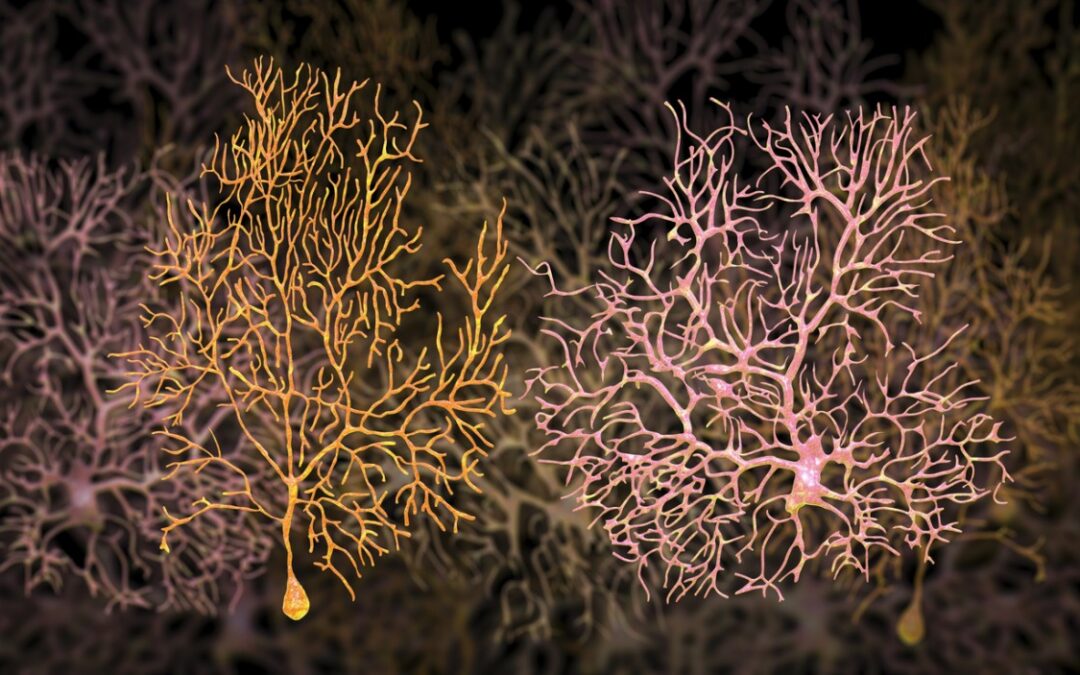 Kisspeptin 45-54 Peptide Interactions with Hypothalamic and Neuronal Cells