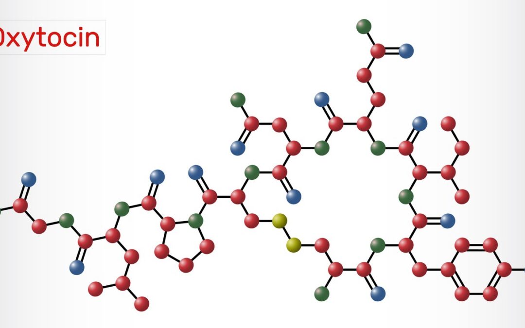 Oxytocin Actions On Neuronal Circuits in Different Mammalian Research Models