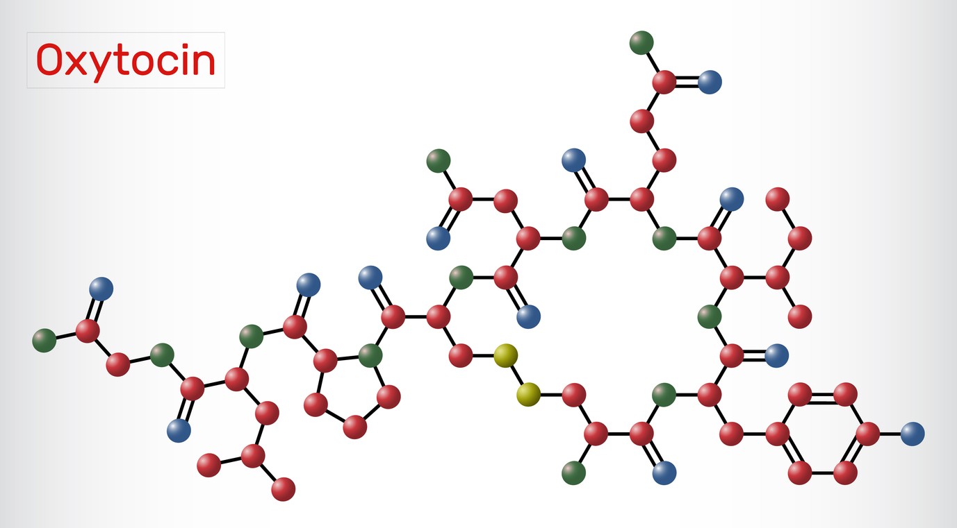 Oxytocin: Neuronal Circuits in Mammalian Research Models
