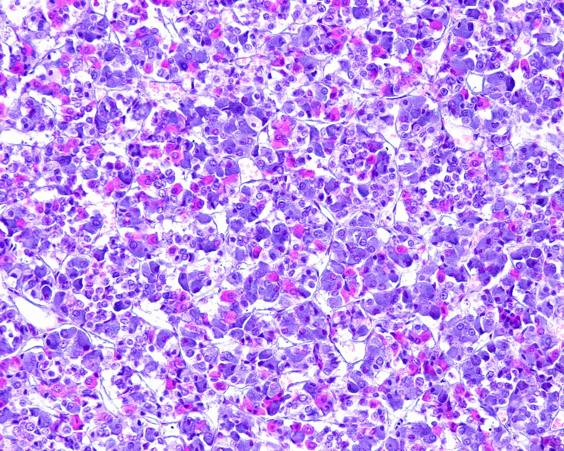 Sermorelin & GHRP-6: Research on Pituitary Stimulation